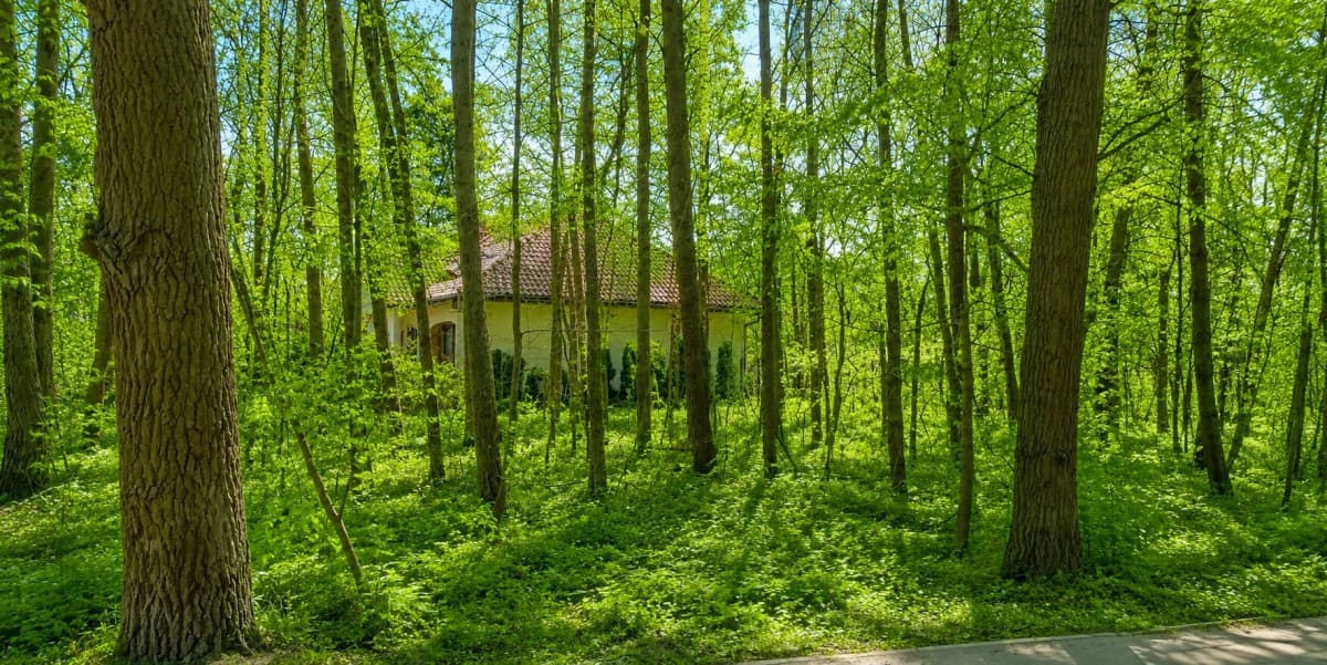 Building plot in green Choszczówka, ideal for your dream home – 3