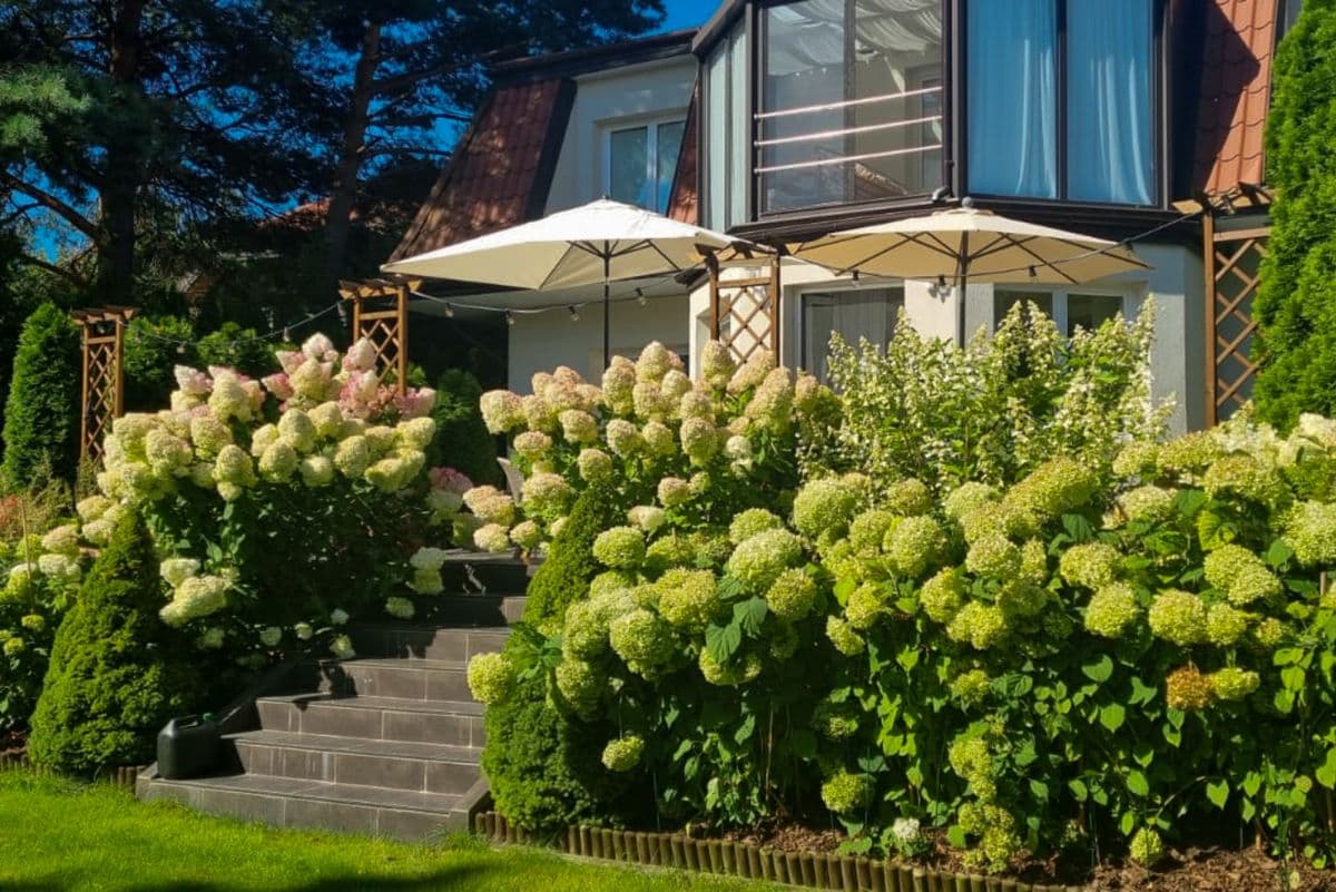 Przestronny dom willowy 336 m² z pięknym ogrodem – 16