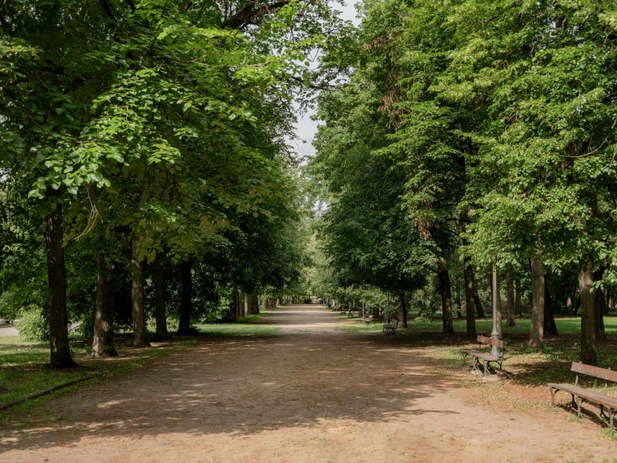 Przestronne mieszkanie 84 m² w prestiżowym Powiślu – 13