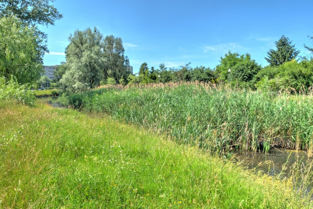 Nowoczesne biuro 170 m² po remoncie w Żoliborzu – 19
