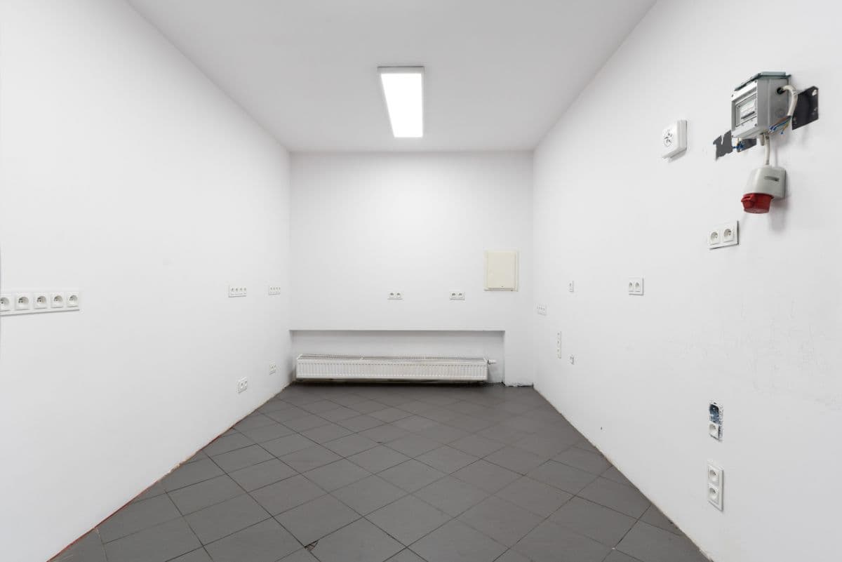 Lokal użytkowy parterowy z dostępem do ogródka – 8