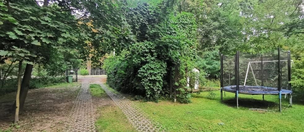 Spacious wooded plot in prestigious Konstancin-Jeziorna – 3