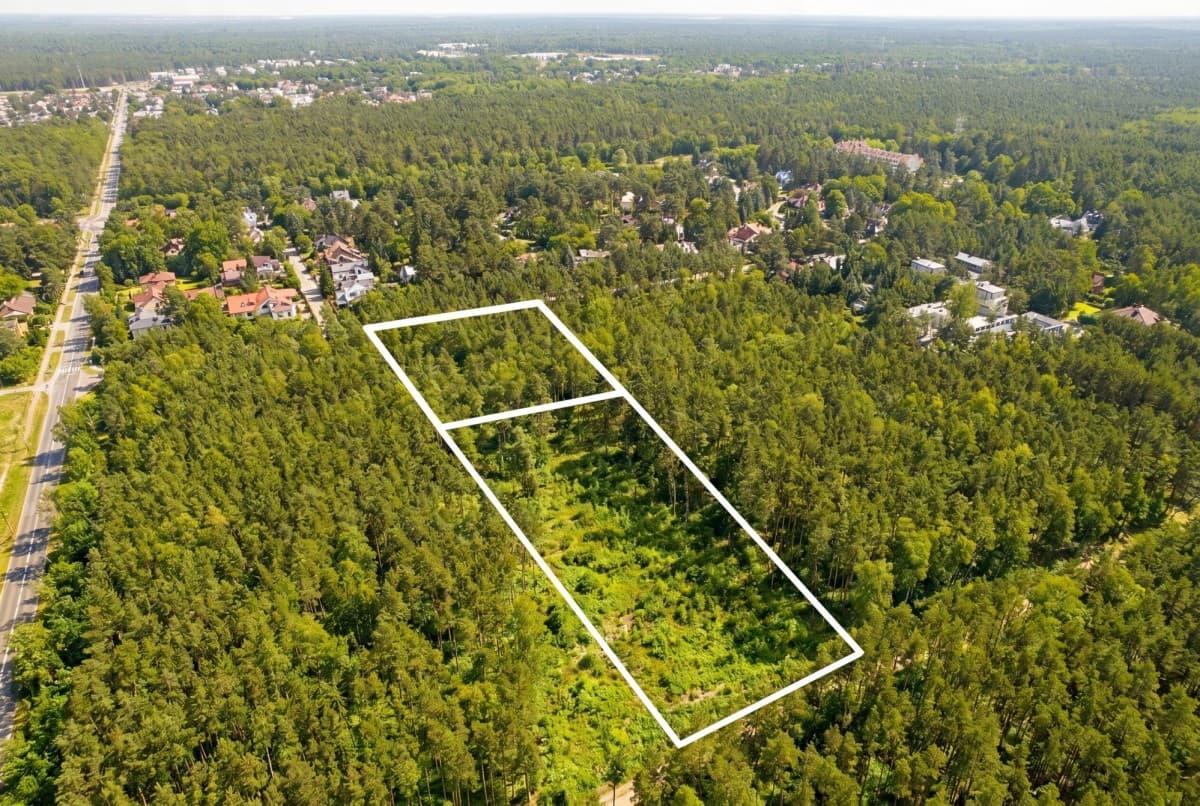 Prime investment plot in a forested area – 1