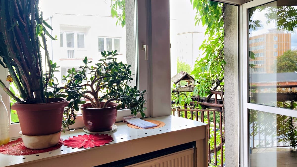 Charming two-room apartment in historic building – 3