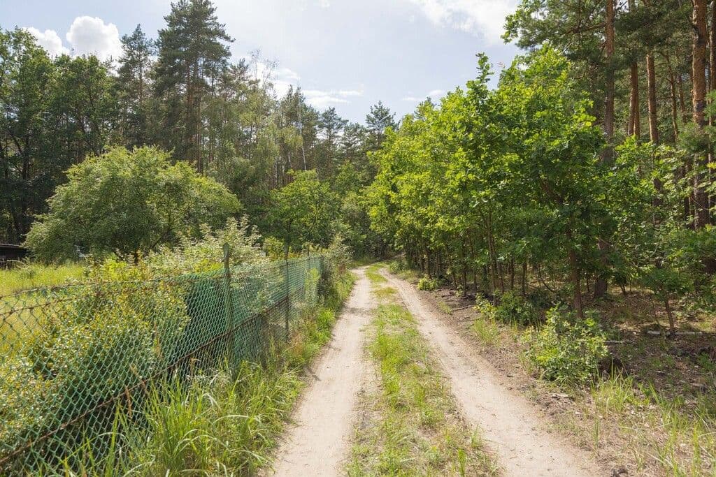 Building plot surrounded by nature in Białołęka – 14