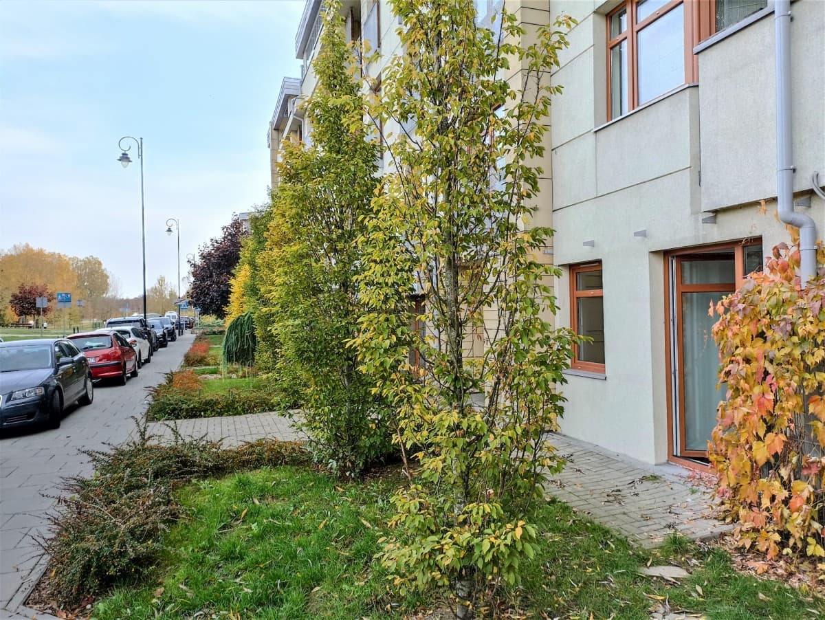 Adapted residential space with commercial potential – 1