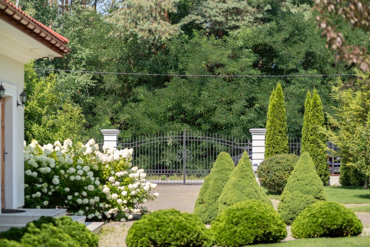 Elegant manor house set in lush forest – 24