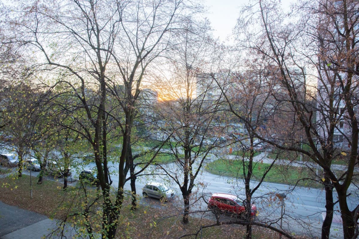 Charming 2-room apartment near public transport – 13