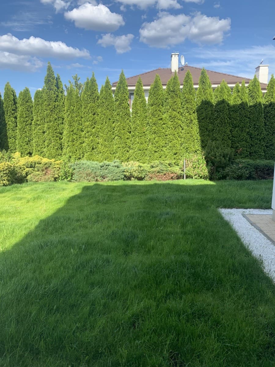 Elegant home with garden near American School – 6