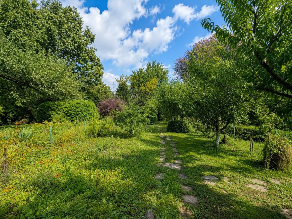 Recreational plot with mature greenery in the city – 3