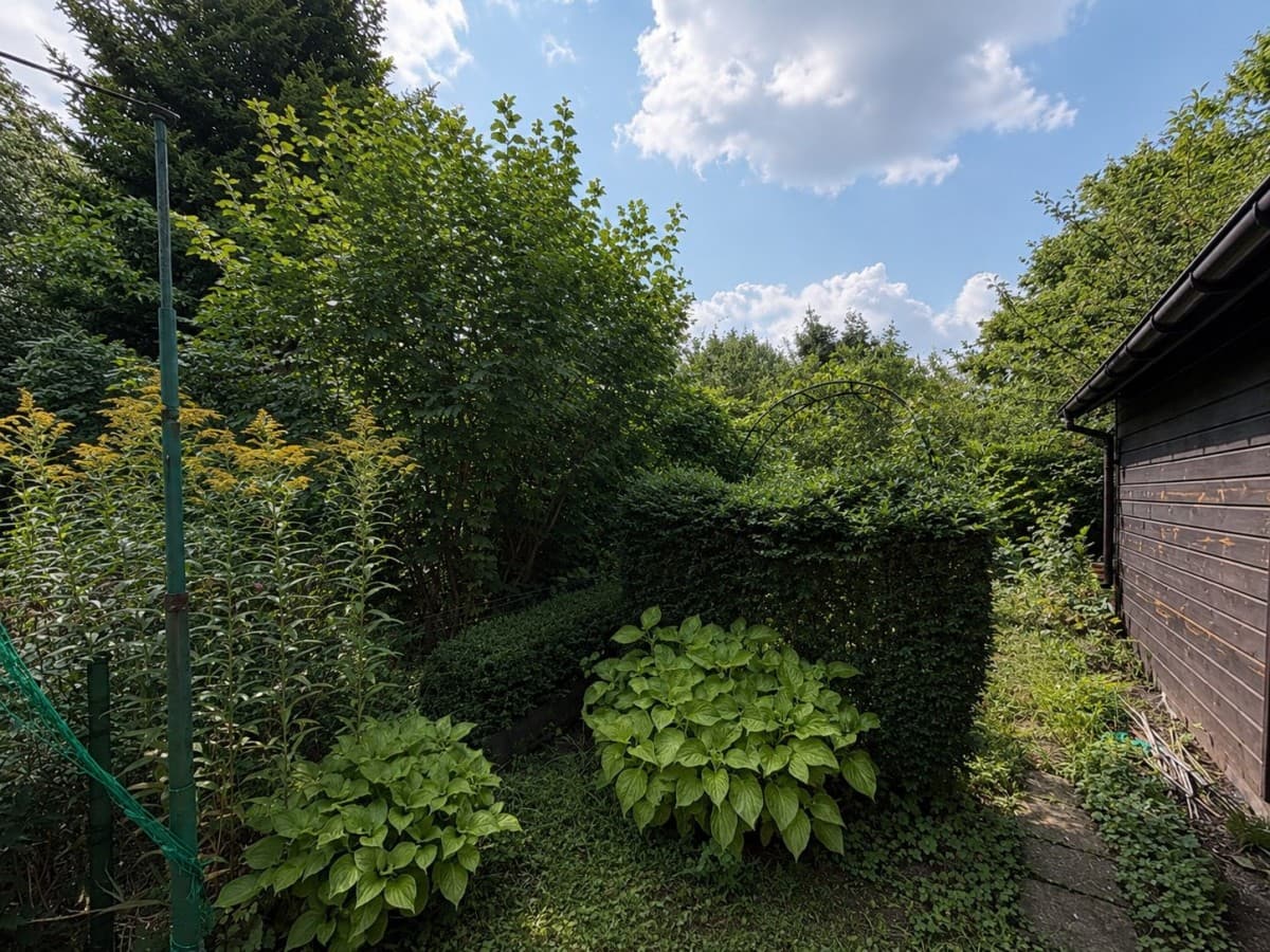 Recreational plot with mature greenery in the city – 4