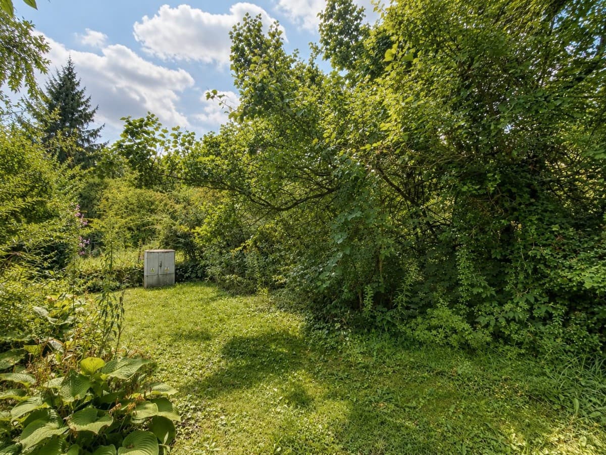 Recreational plot with mature greenery in the city – 5
