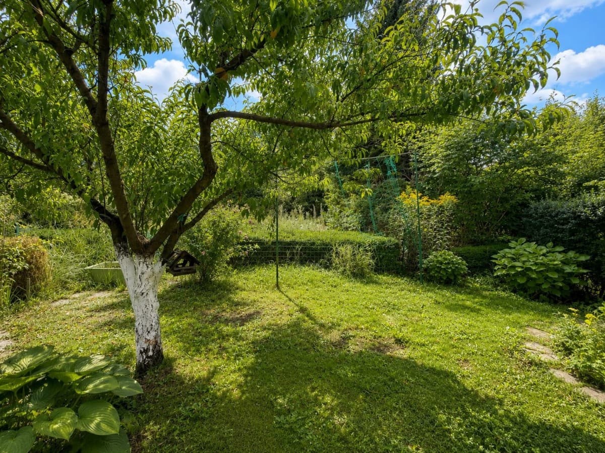 Recreational plot with mature greenery in the city – 6