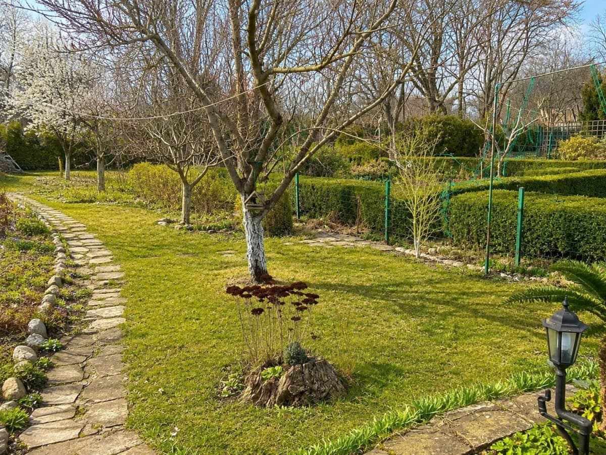 Recreational plot with mature greenery in the city – 9