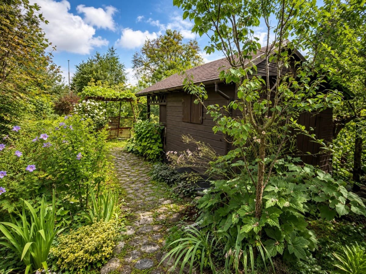 Recreational plot with mature greenery in the city – 10