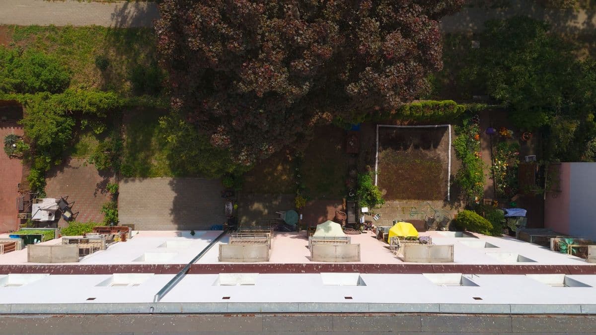 Ground floor apartment with garden in Wola – 19