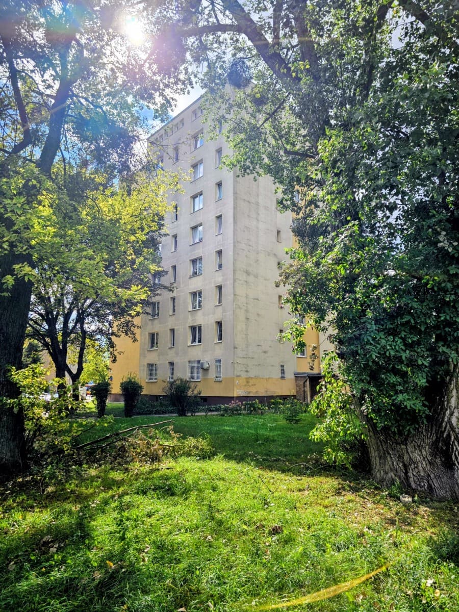 Two-room apartment steps from downtown – 2