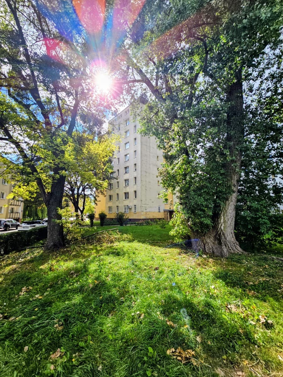 Two-room apartment steps from downtown – 1