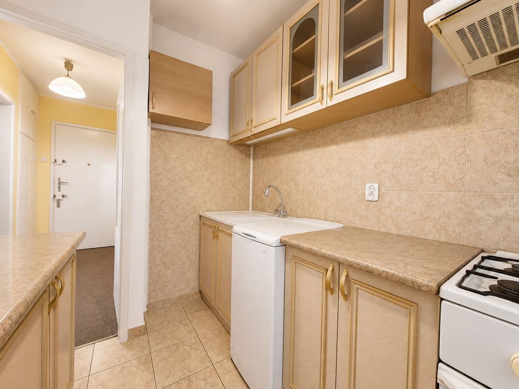 Flat with renovation potential near parks – 4