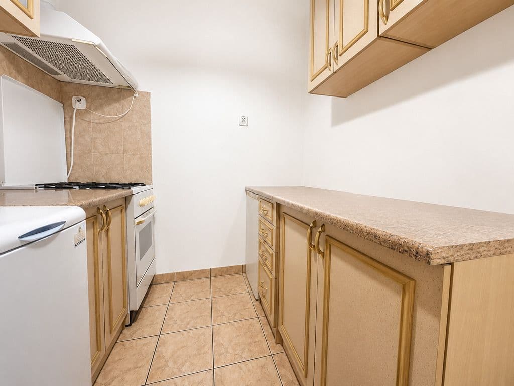 Flat with renovation potential near parks – 5