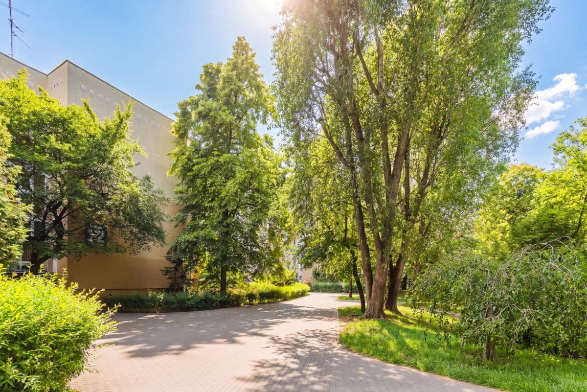 Spacious 84 sqm apartment near Metro Ursynów – 15