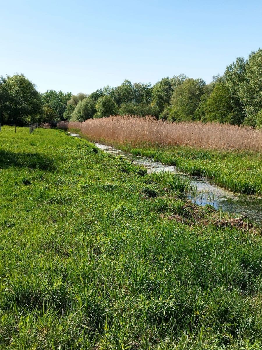 Scenic plot by Wilanówka River, ideal for luxury home – 3