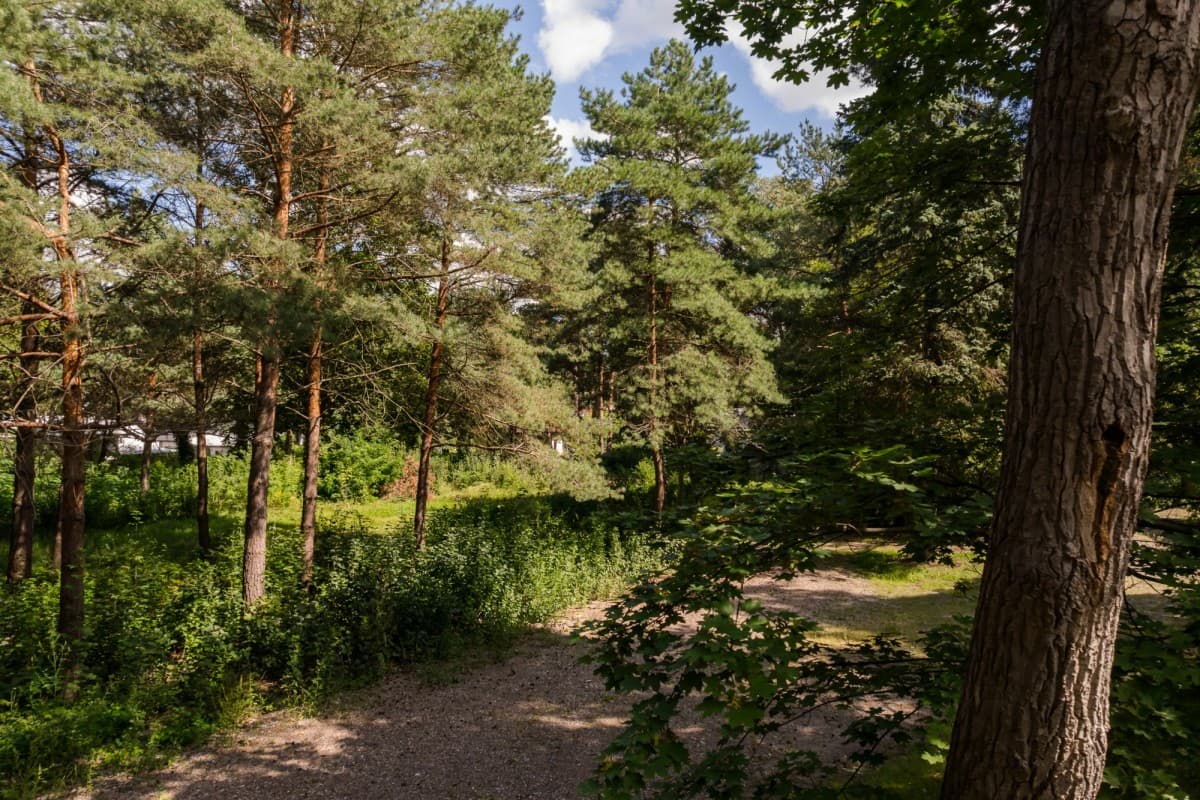 Exceptional building plot in prestigious Konstancin-Jeziorna – 6