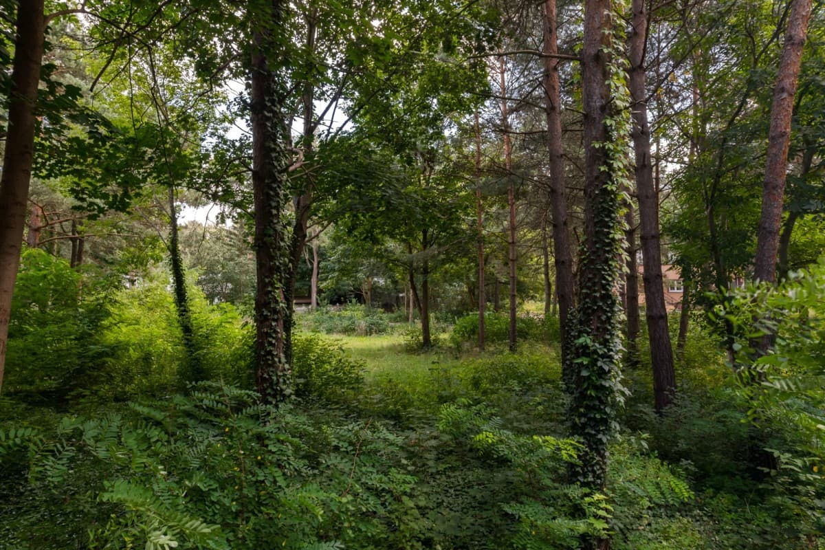 Exceptional building plot in prestigious Konstancin-Jeziorna – 1