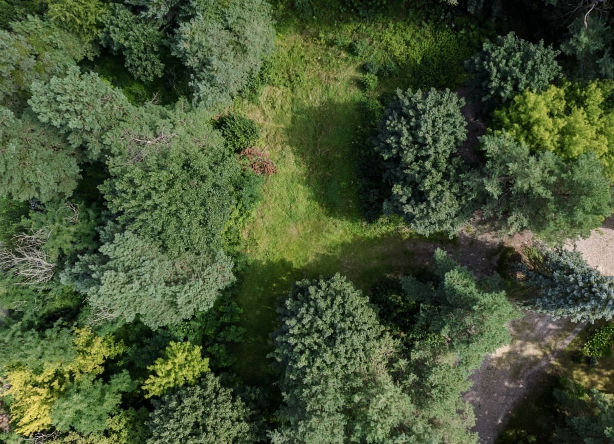 Exceptional building plot in prestigious Konstancin-Jeziorna – 4