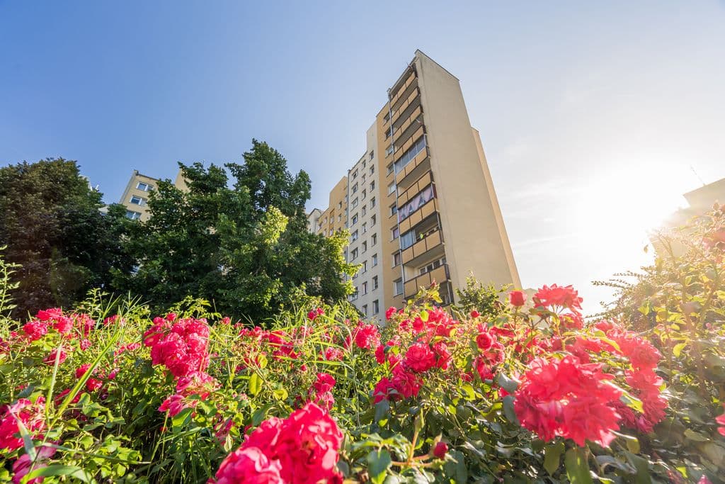 Spacious apartment with potential for 5 rooms – 19