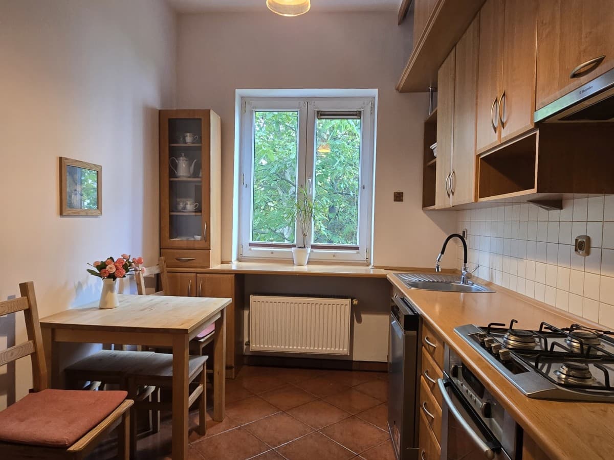 Spacious 2-room apartment with large terrace – 7