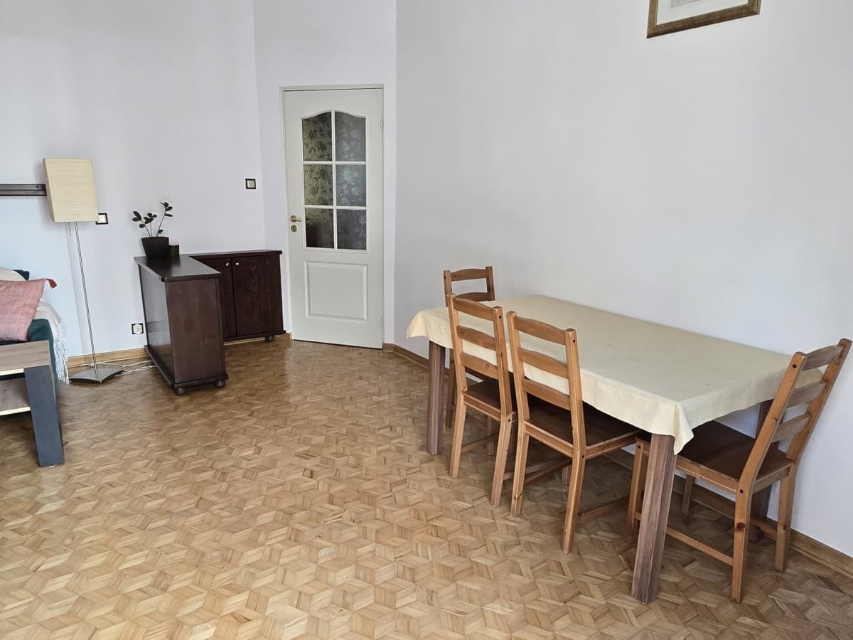 Spacious 2-room apartment with large terrace – 4
