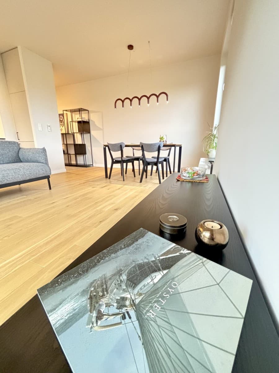 modern apartment with stunning city views – 4