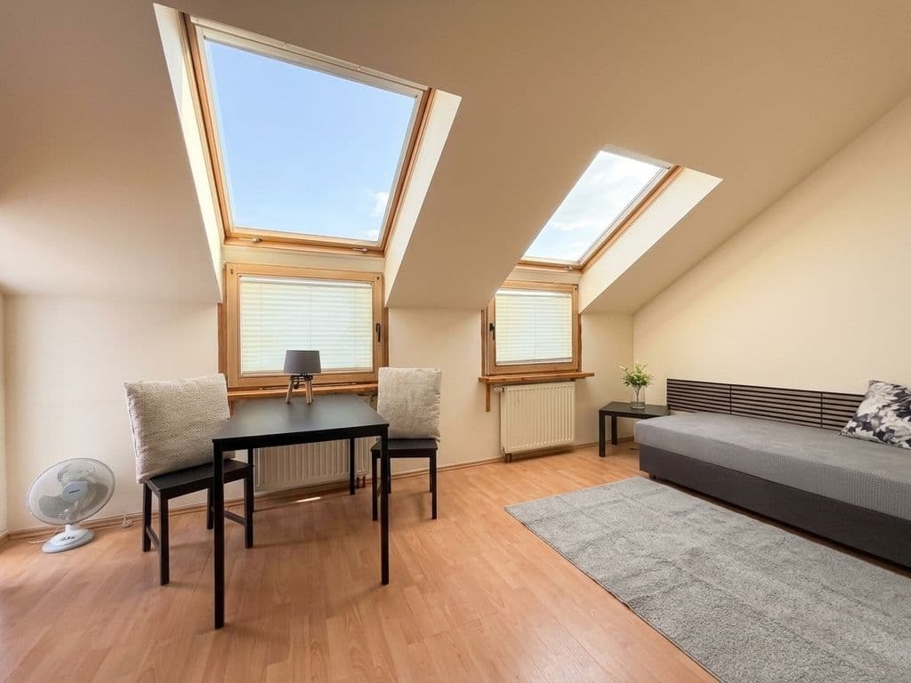 Spacious studio with high ceilings and great potential – 1