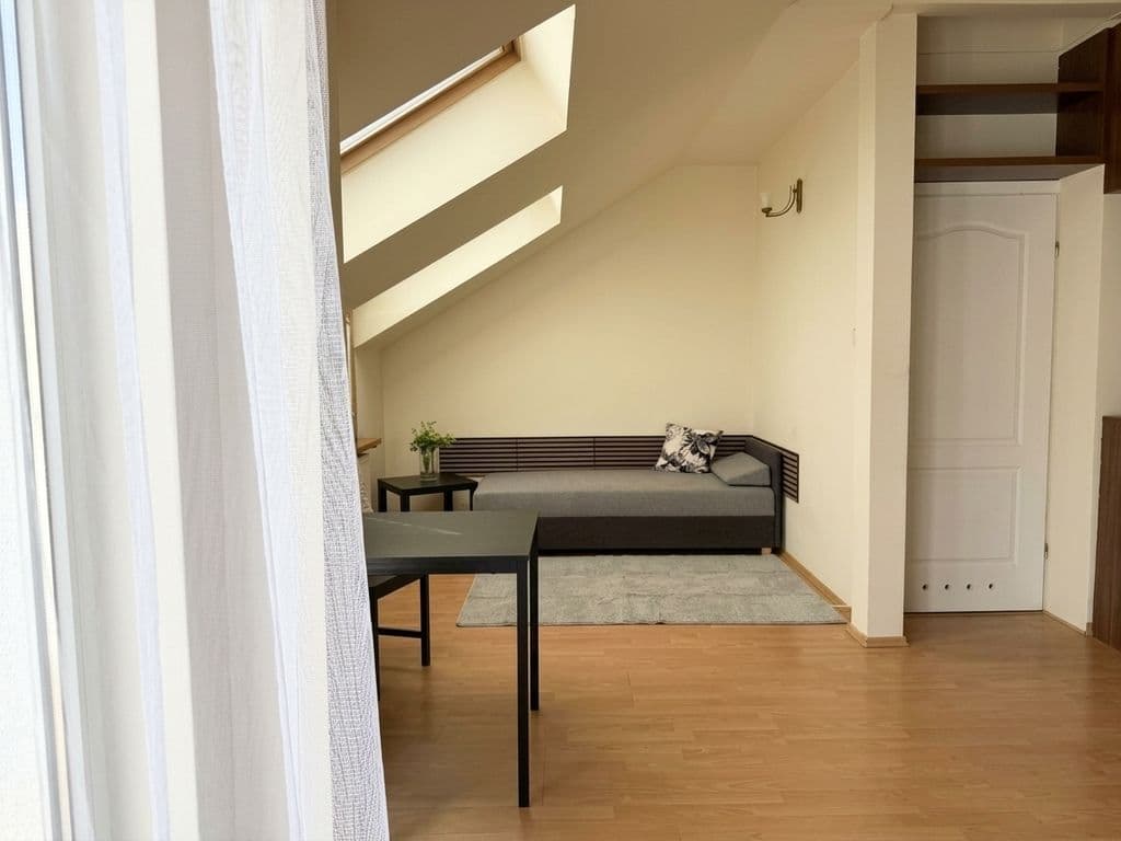 Spacious studio with high ceilings and great potential – 3