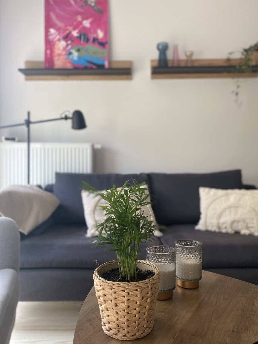 Modern two-room apartment near park and shopping center – 4